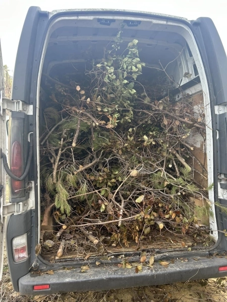Débarras jardin à Toulon