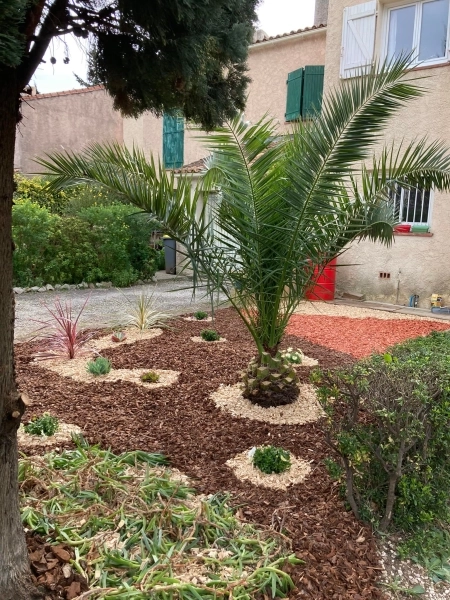 Débroussaillage à Toulon